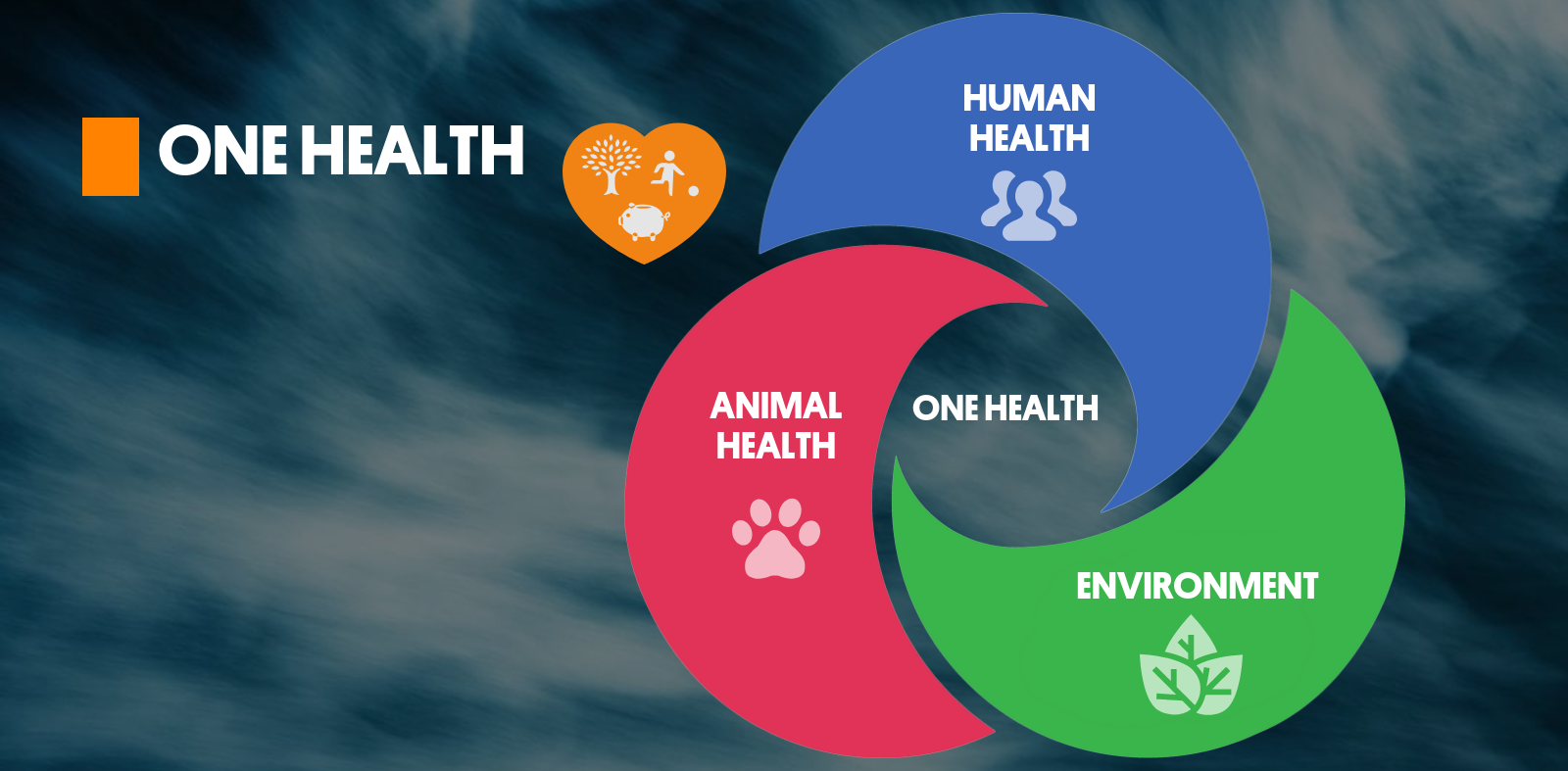 One Health Slide 2